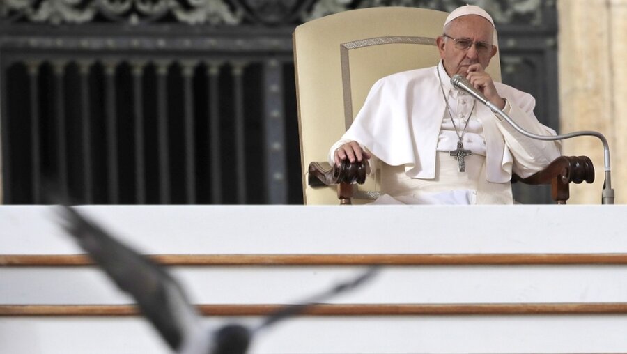 Eine Taube schwingt sich vor Papst Franziskus in die Luft / © Alessandra Tarantino (dpa)