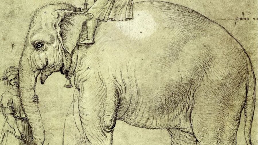Eine Zeichnung des Elefanten Hanno (KNA)