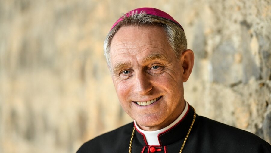 Erzbischof Georg Gänswein / © Harald Oppitz (KNA)