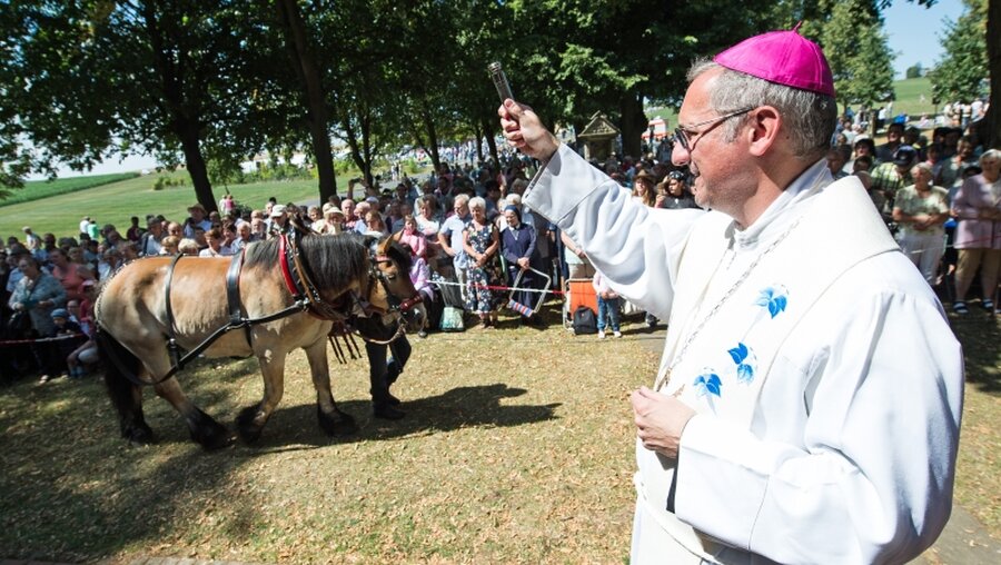 Erzbischof Stefan Heße segnet Tiere / © Swen Pförtner (dpa)