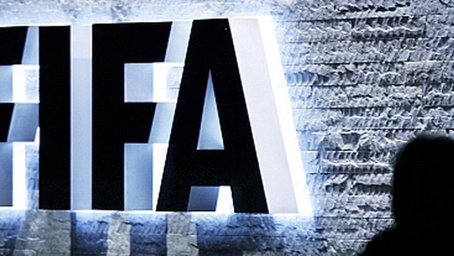 Die FIFA unter Druck / © Steffen Schmidt (dpa)