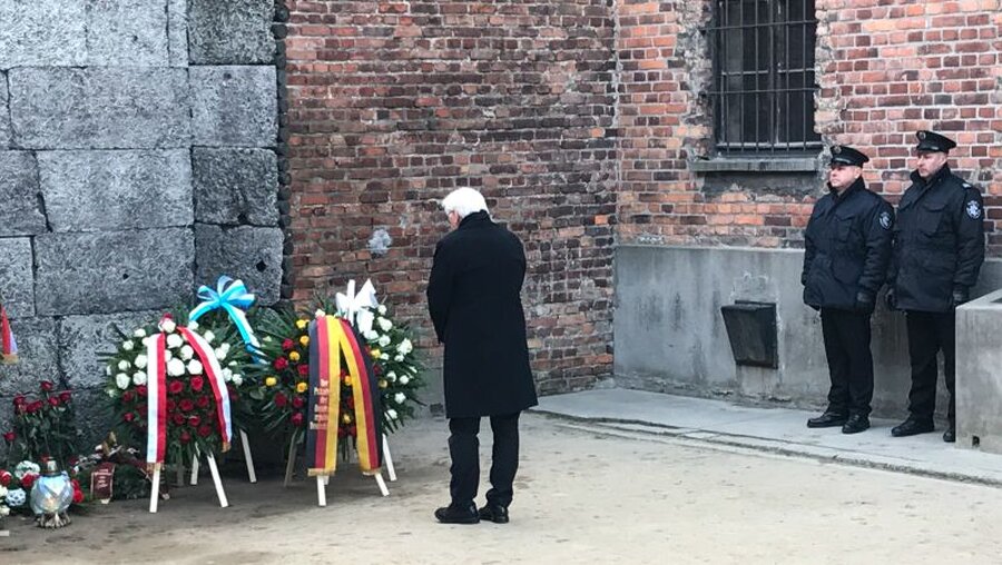 Frank-Walter Steinmeier in Auschwitz / © Birgit Wilke (KNA)