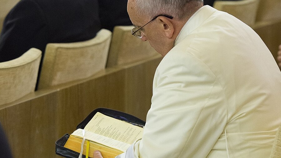  Papst Franziskus im Gebet versunken  / © Siciliani (KNA)