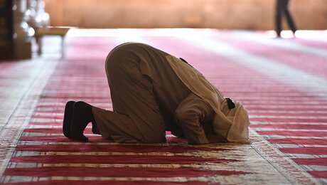 Gläubiger beim Gebet in einer Moschee / © Harald Oppitz (KNA)