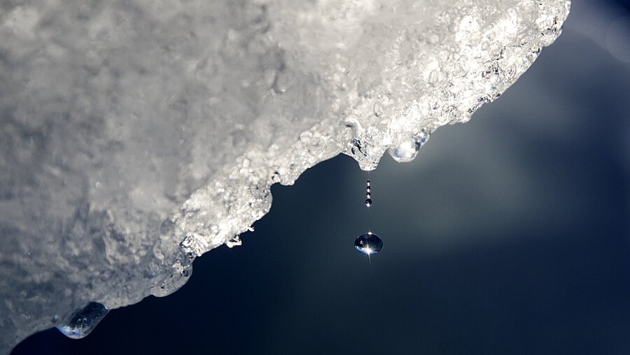 Gletscherschmelze / © David Goldman (dpa)