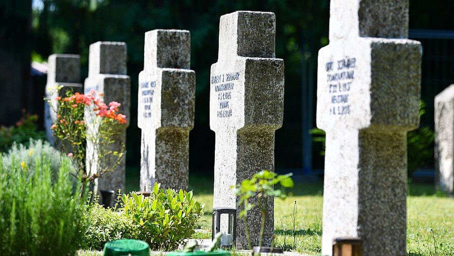 Gräber auf einem Friedhof / © Uwe Anspach (dpa)