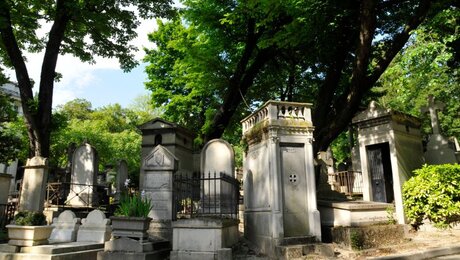 Grabsteine auf einem Friedhof / © Andrzej Lisowski Travel (shutterstock)