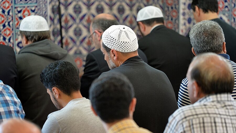 Experte: Muslime sollen ihre Religion erklären / © Jens Schulze (epd)