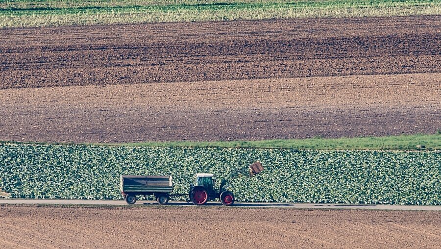 Traktor auf einem Feld / © Armin Weigel (dpa)