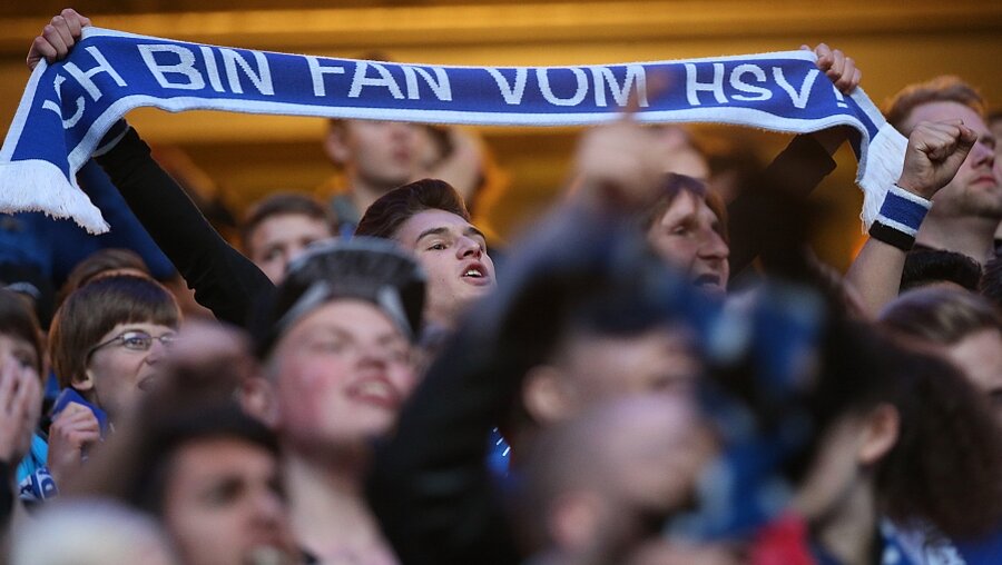 HSV-Fans beim Public Viewing zum Relegations-Rückspiel am 1.6.15 (dpa)