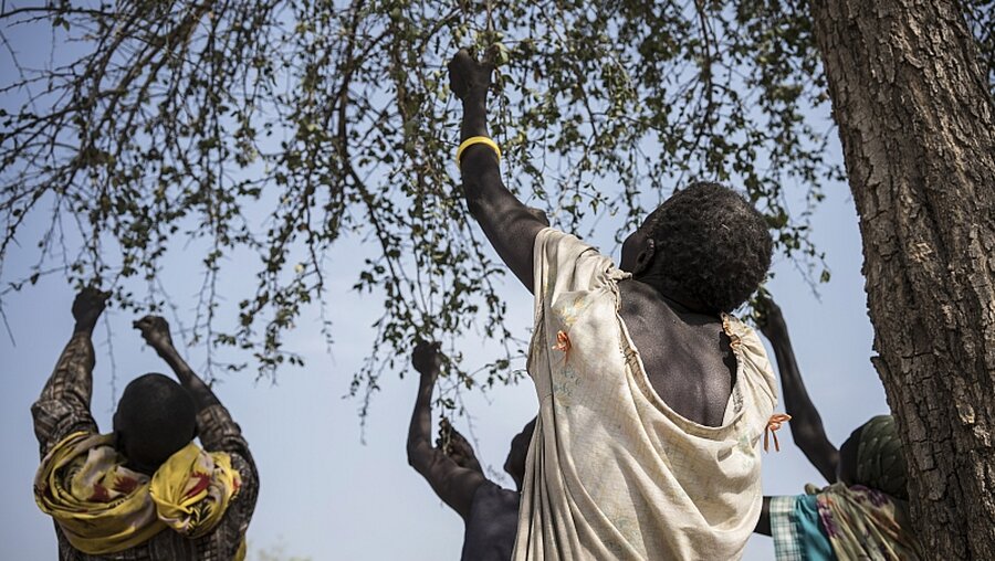 Hungerkrise in Südsudan / © Mackenzie Knowles-Coursin (dpa)