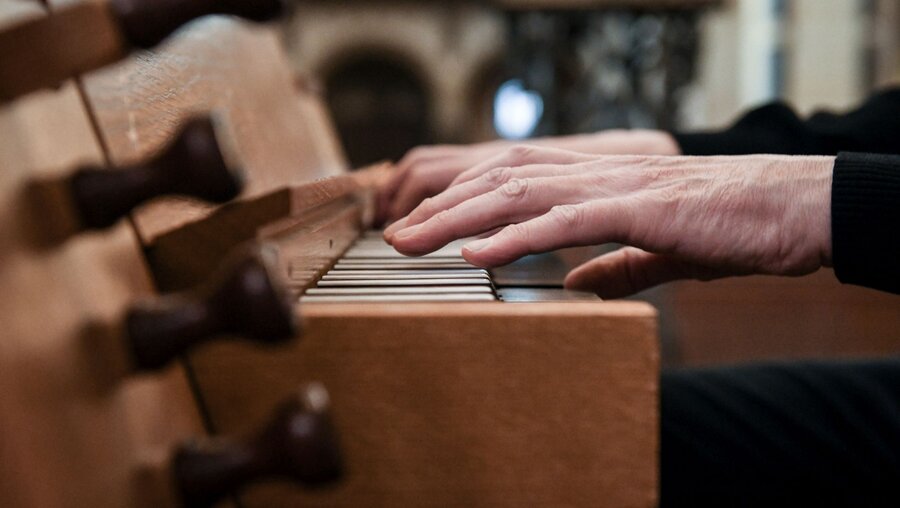 Ein Mann spielt Orgel / © Julia Steinbrecht (KNA)