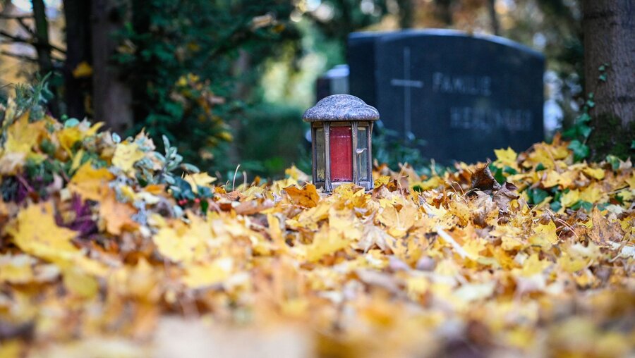 Symbolbild Grablicht auf einem Friedhof / © Julia Steinbrecht (KNA)
