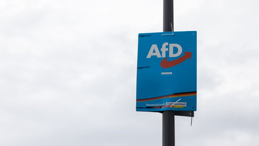 AfD-Plakat 2021 in Dresden / © 1take1shot (shutterstock)