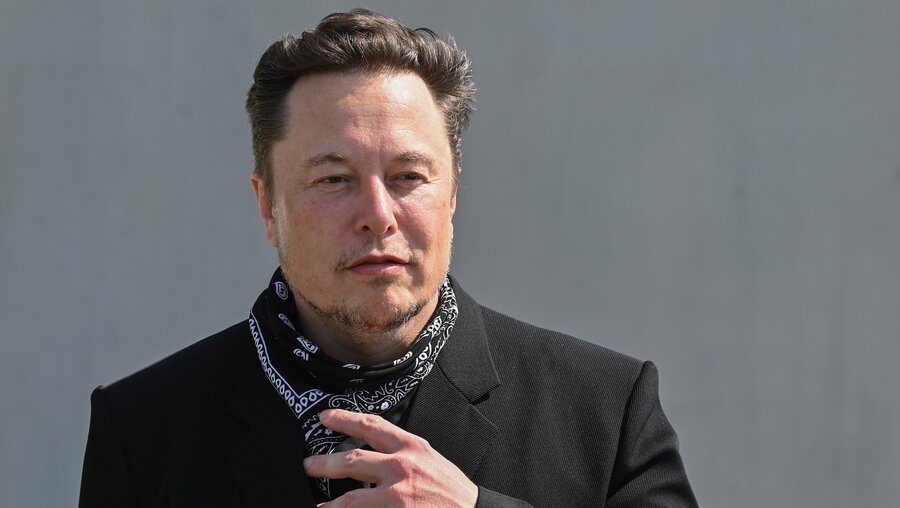 Tesla-Chef Elon Musk / © Patrick Pleul (dpa)