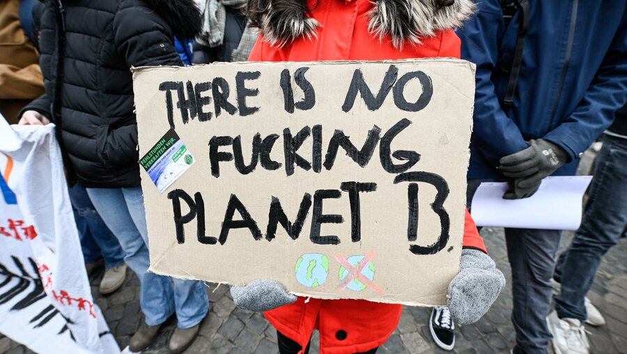 Protest beim Globalen Klimastreik (Archiv) / © Julia Steinbrecht (KNA)