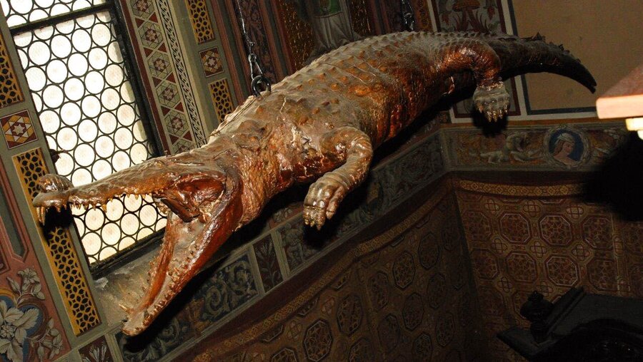 Ein ausgestopftes Krokodil hängt in der italienischen Wallfahrtskirche Madonna delle Lacrime in Ponte Nossa / © BergamoPost (KNA)