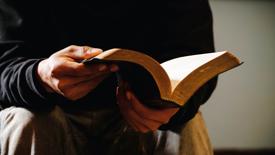 Ein Mann blättert in einer alten Bibel / © Doidam 10 (shutterstock)