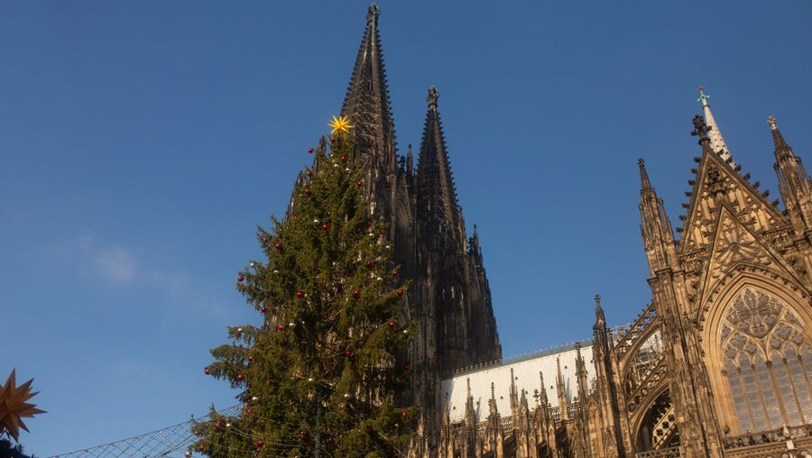 Kölner Dom an Weihnachten / © Joshua Seiler (shutterstock)
