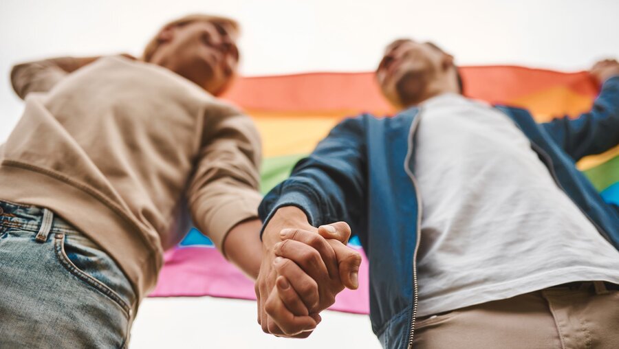 Homosexuelles Paar mit Regenbogenfahne / © Serhiy Bondar (shutterstock)