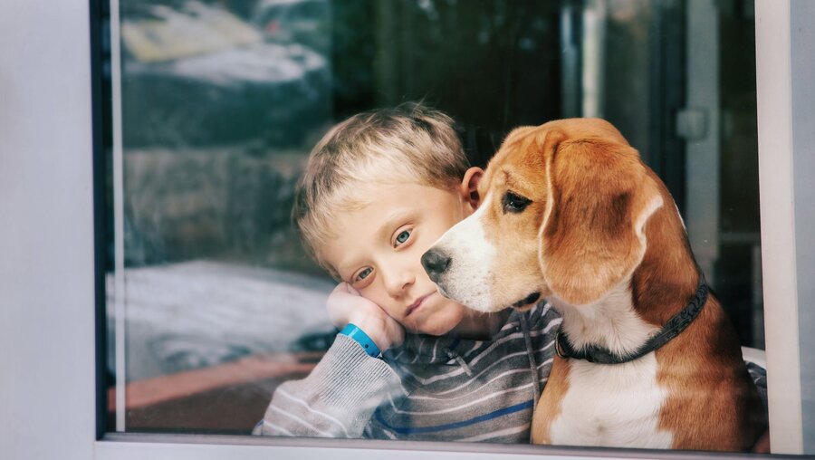 Kind mit Hund schaut traurig aus dem Fenster / © Soloviova Liudmyla (shutterstock)