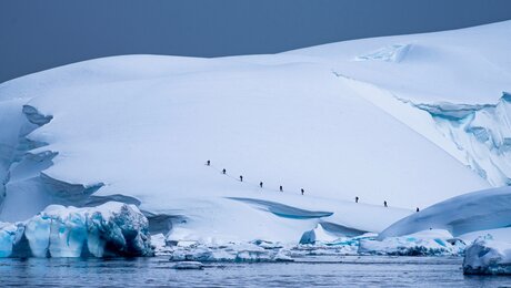 Menschen in der Antarktis (shutterstock)