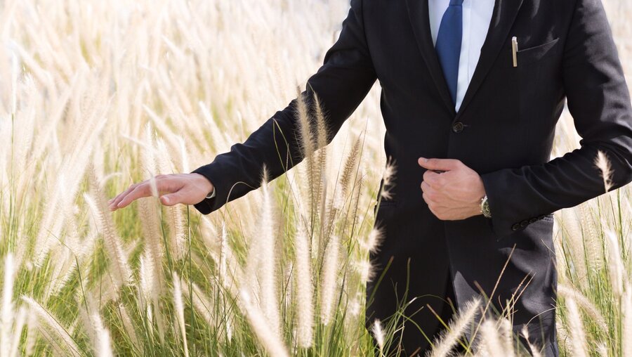 Symbolbild Geschäftsmann in einem Getreidefeld / © PKpix (shutterstock)
