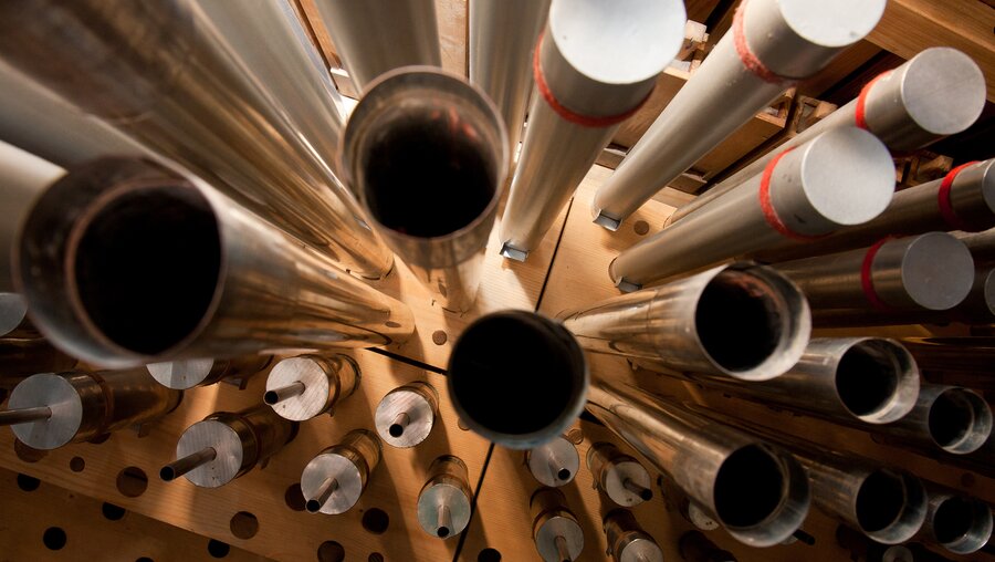 Blick auf die Pfeifen im Inneren einer Orgel. / © Dominik Michalek (shutterstock)