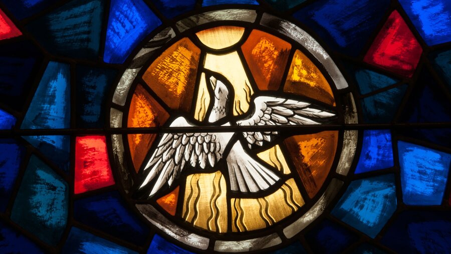 Kirchenfenster mit der Darstellung des Heiligen Geistes in Form einer weißen Taube / © Nancy Bauer (shutterstock)