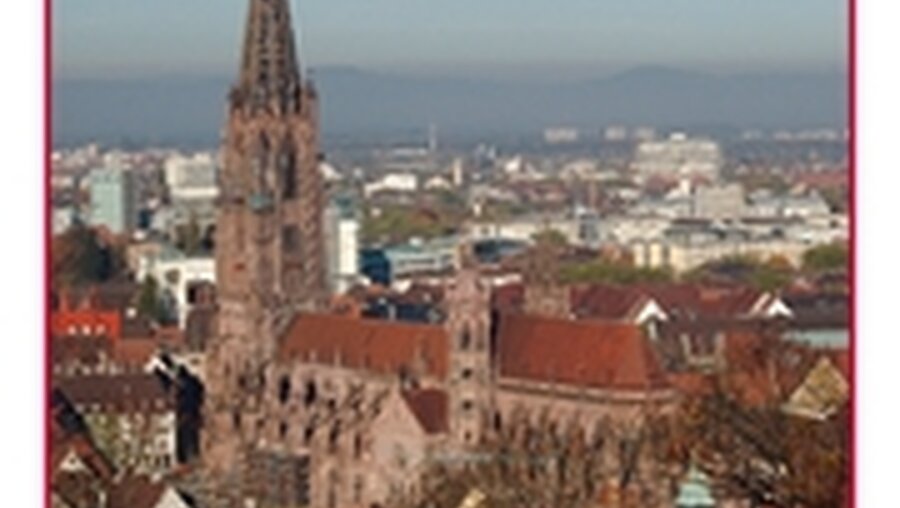 Freiburger Münster (DR)
