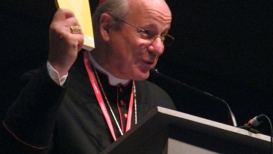 Wiens Kardinal Schönborn beim WJT von Madrid (DR)