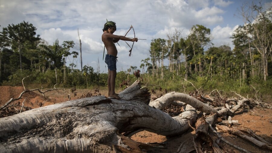 Indigene im Amazonas-Gebiet vom Coronavirus betroffen / © Rodrigo Abd (dpa)