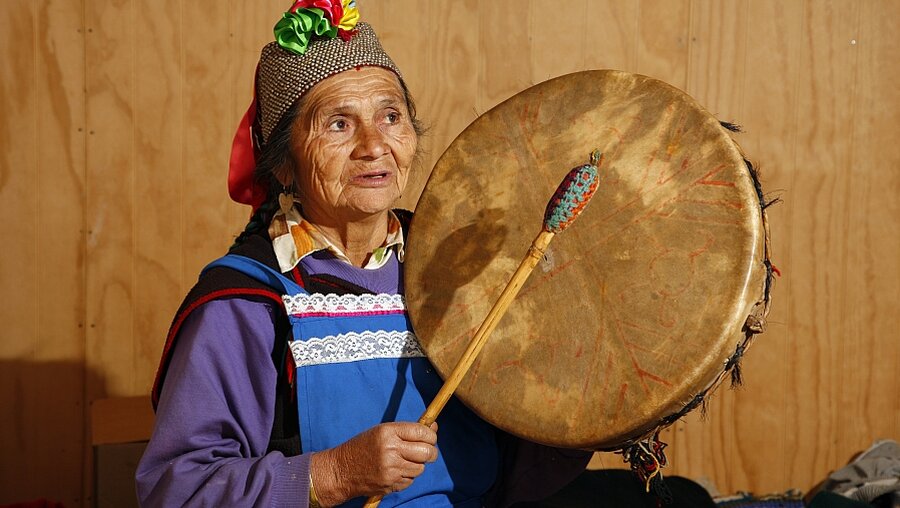 Mapuche Frau in der Region Bio-Bio in Chile am 26.11.09 (epd)