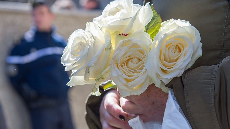 Weiße Rose wurde zum Symbol / © Peter Kneffel (dpa)
