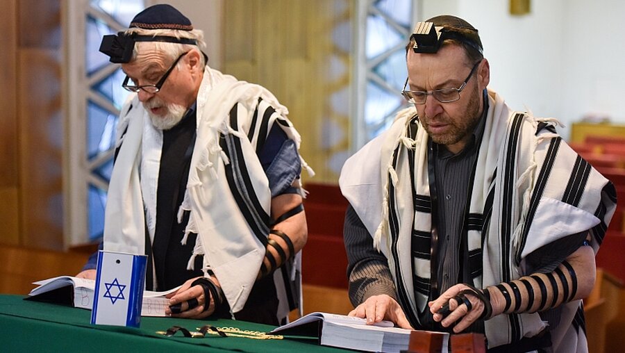 Jüdisches Moregengebt am Thoratisch in der Synagoge von Bonn. / © Harald Oppitz (KNA)