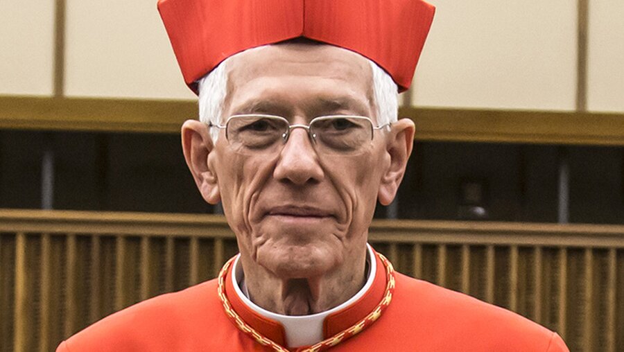 Kardinal Maurice Piat, Bischof von Port-Louis, Mauritius (Archivbild) / © Stefano dal Pozzolo/Romano Siciliani (KNA)