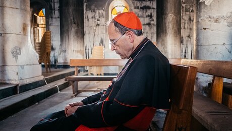 Kardinal Philippe Barbarin / © Jean-Matthieu Gautier (KNA)