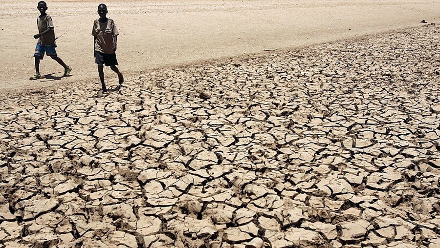 Dürre in Kenia / © Stephen Morrison (dpa)
