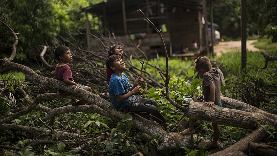 Kinder sitzen auf gefällten Bäumen in der Amazonas-Region von Peru / © Rodrigo Abd (dpa)