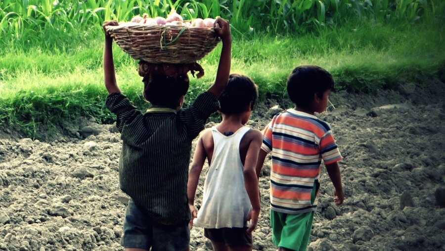 Kinderarbeit auf dem Feld / © Incredible_backgrounds (shutterstock)