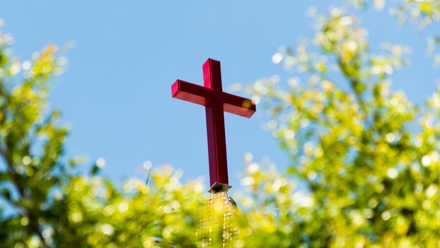 Kirchenkreuz und grüner Baum / © hxdbzxy (shutterstock)