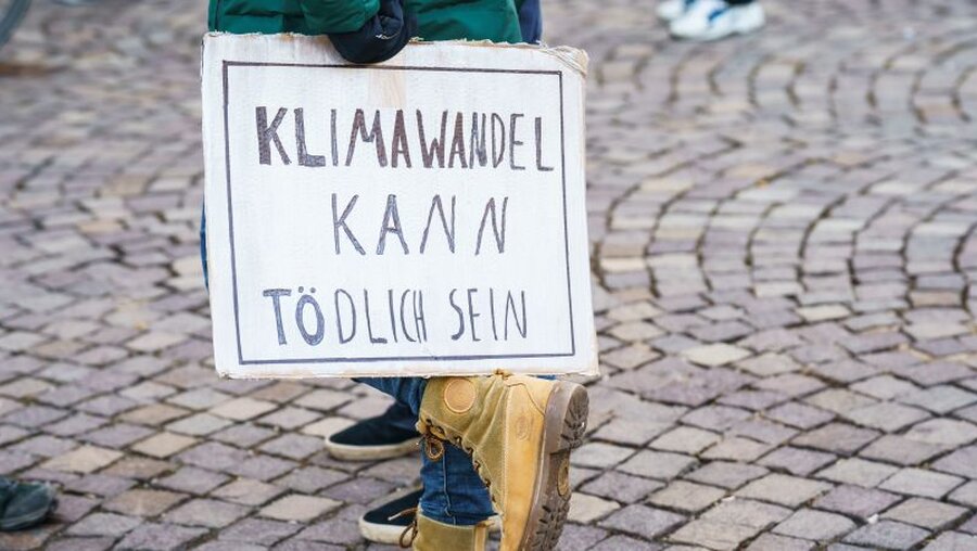 Klimaprotest Fridays for Future / © Andreas Arnold (dpa)