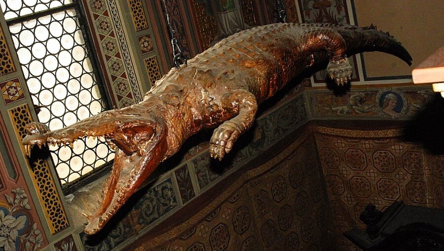 Ausgestopftes Krokodil in der Wallfahrtskirche Madonna delle Lacrime / © BergamoPost (KNA)