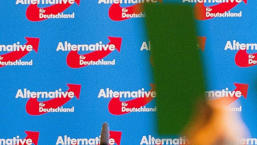 Plakat der "Alternative für Deutschland"  / © Daniel Bockwoldt (dpa)