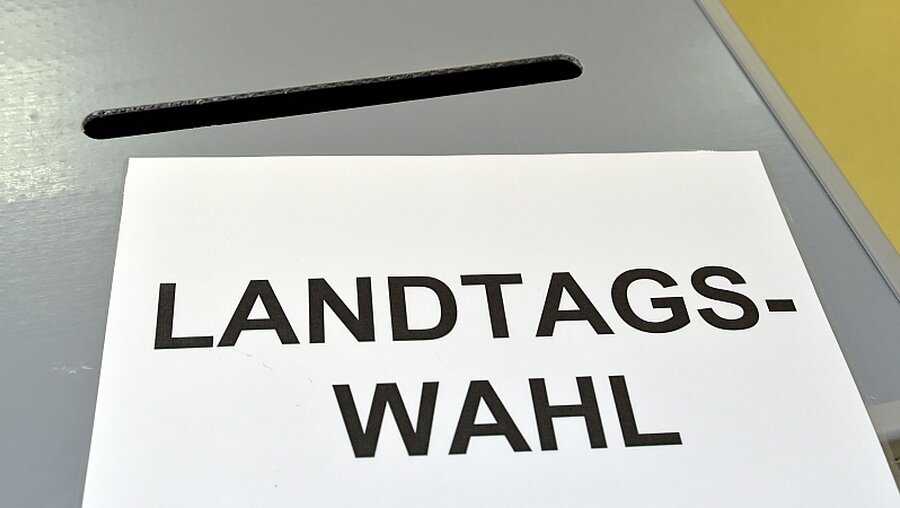Hohe Umfragewerte für die AfD vor den Landtagswahlen in Sachsen-Anhalt / © Patrick Pleul (dpa)
