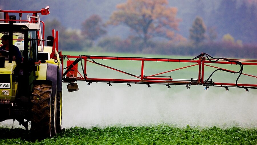 Landwirt versprüht Glyphosat / © Patrick Pleul (dpa)