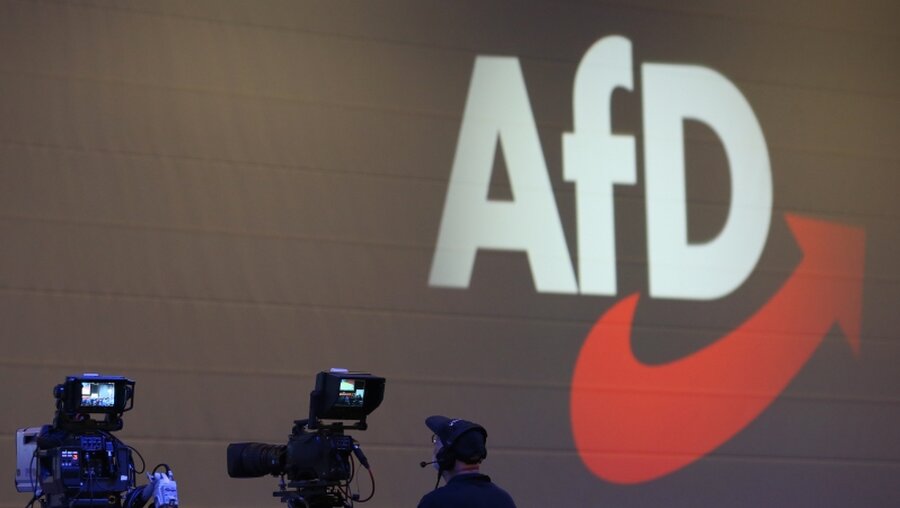 Logo der AfD / © Karl-Josef Hildenbrand (dpa)