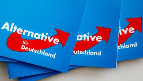 Logo der Alternative für Deutschland (AfD) / © Markus Scholz (dpa)
