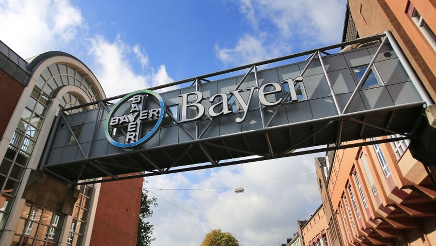 Logo des Bayer-Konzerns / © Oliver Berg (dpa)