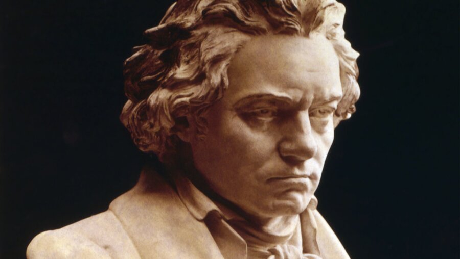 Ludwig van Beethoven (1770-1827) / © Everett Historical (shutterstock)
